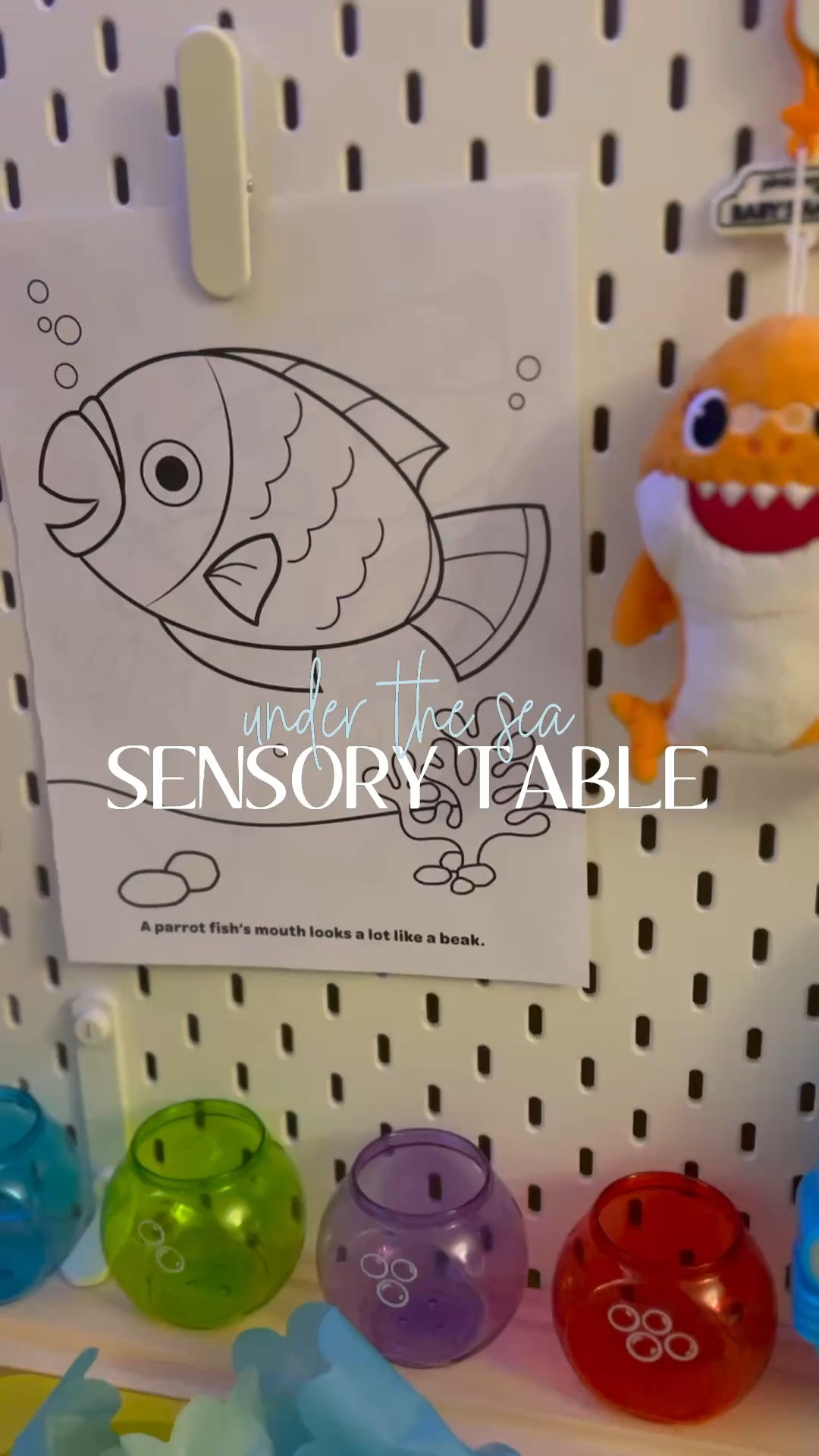 Under the Sea simple sensory table! 

 #LTKHome #LTKBaby #LTKFamily