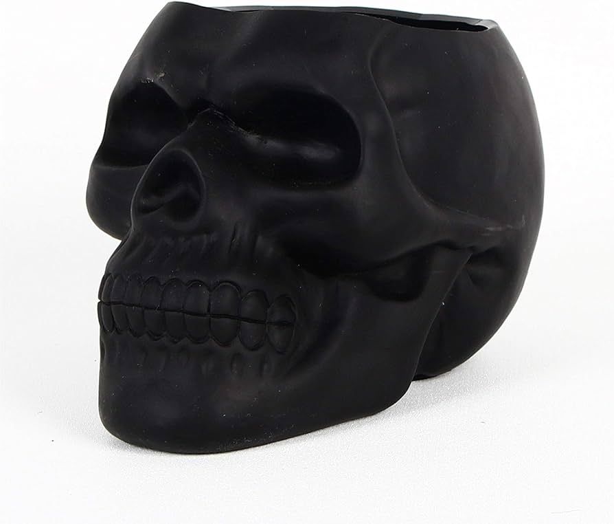 Dashamce Skull Planter Dish Large Flower Pot Container Box Halloween Skull Candy Bowl Desk Decora... | Amazon (US)