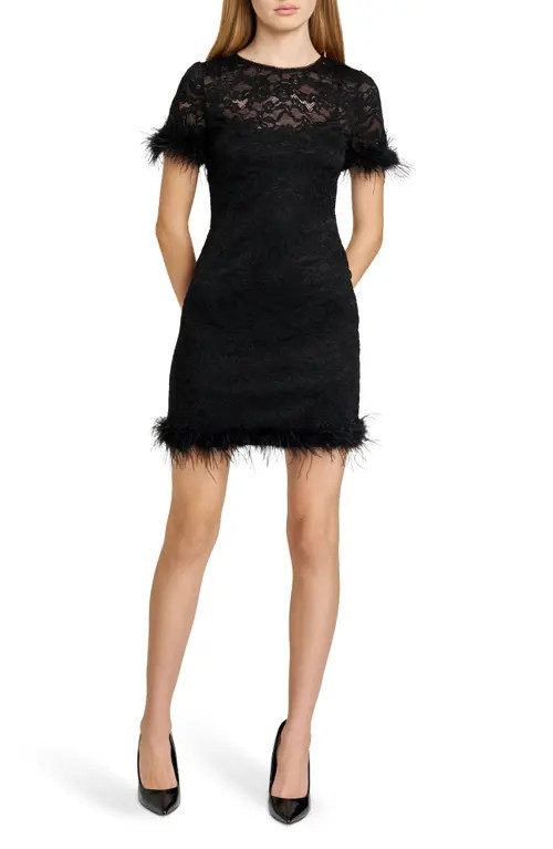 WAYF Alina Feather Lace Minidress in Black at Nordstrom, Size X-Large | Nordstrom