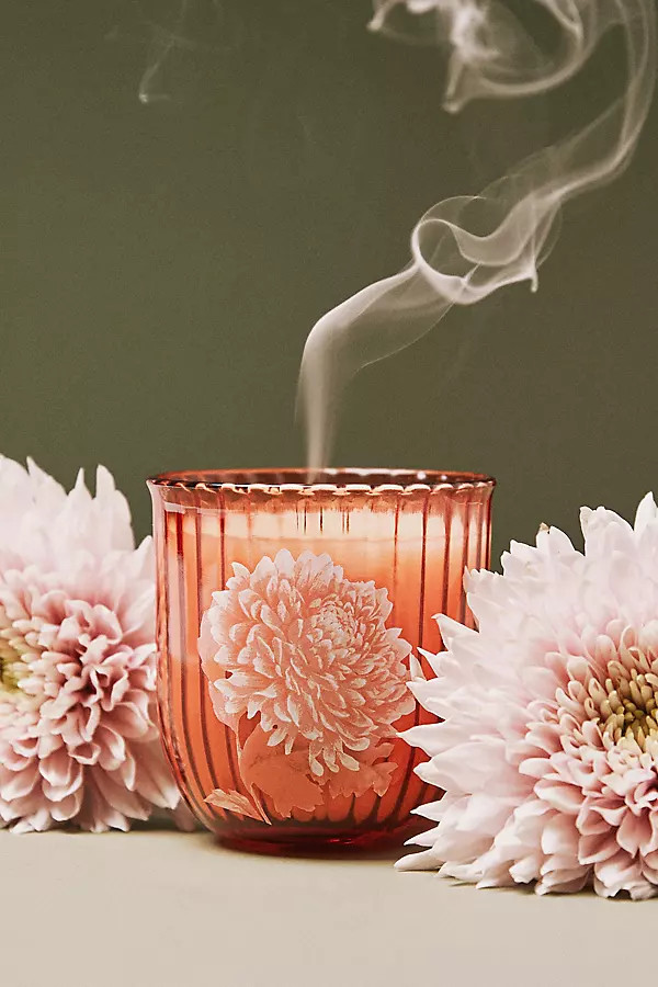 Birth Month Flower Boxed Candle | Anthropologie (US)