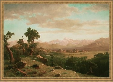 Wind River | One Kings Lane