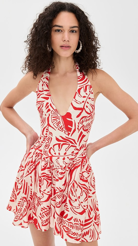 Brydie Mini Dress | Shopbop