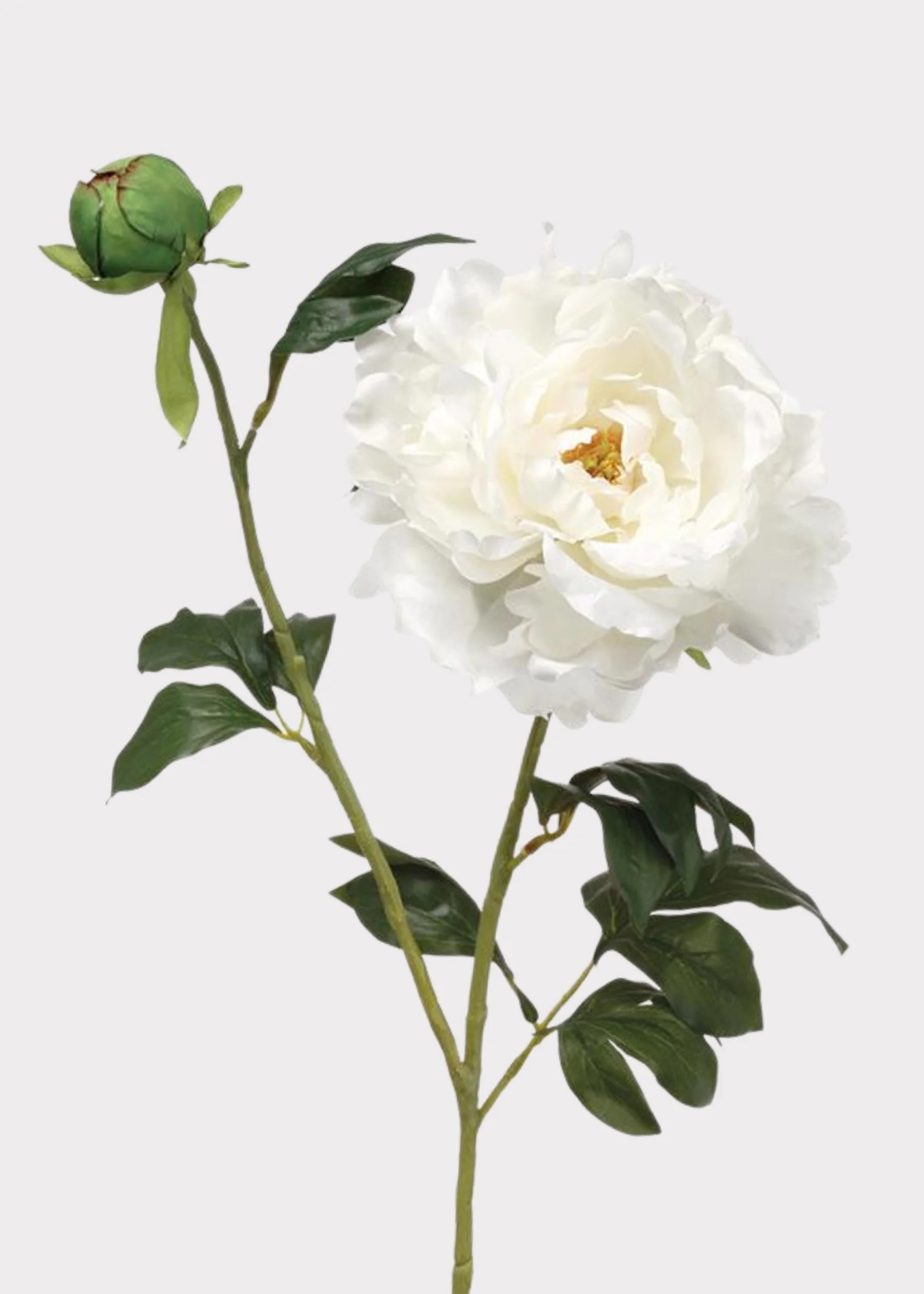Artificial Peony Flower in White | Premium Fake Flowers | Afloral | Afloral