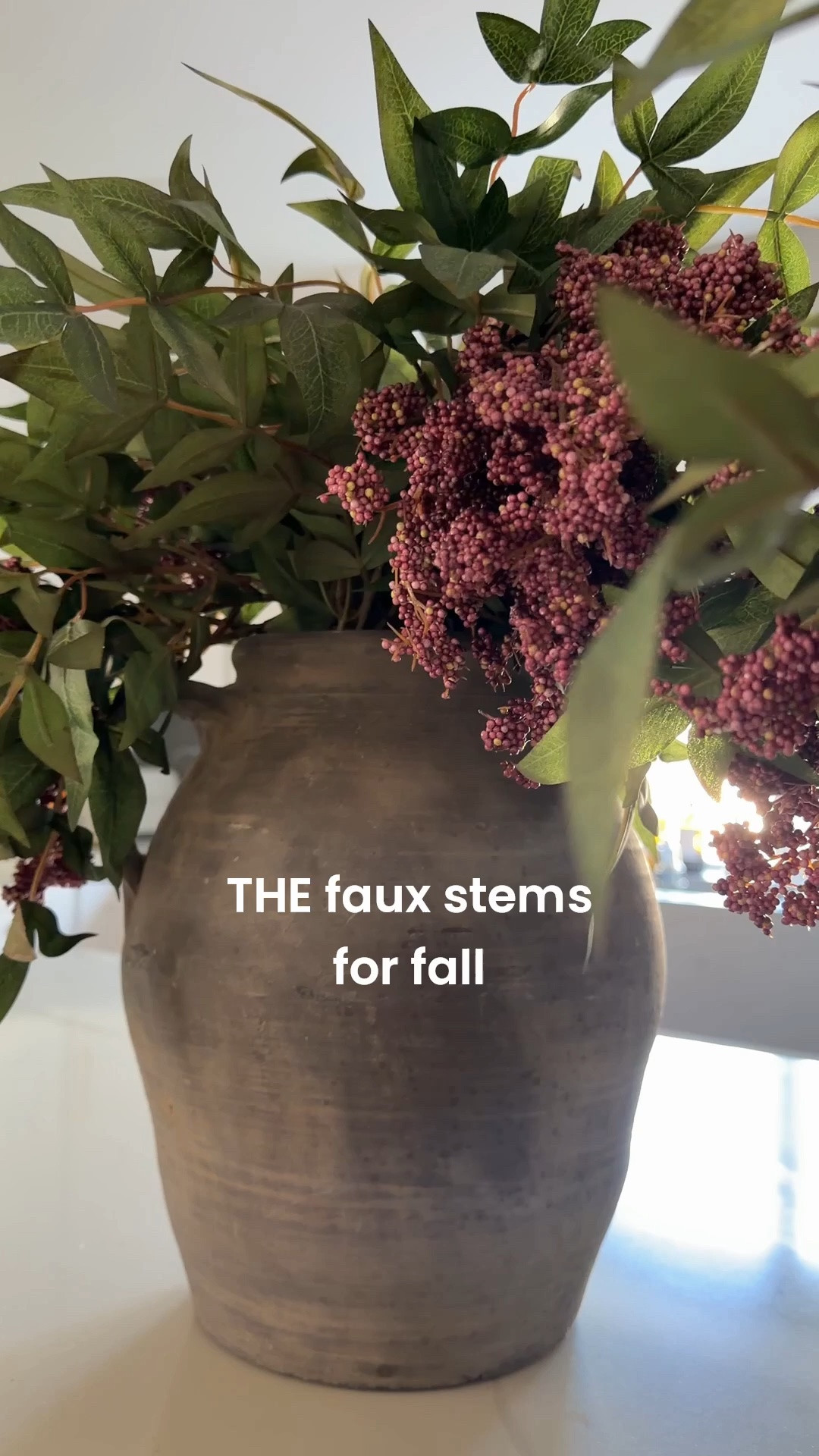 Fall is around the corner! And these faux stems are perfect to bring that cozy fall vibe to your home!

These faux stems from Amazon come in a pack of 4 or 8 at a really great price point!

#LTKSeasonal #LTKHome