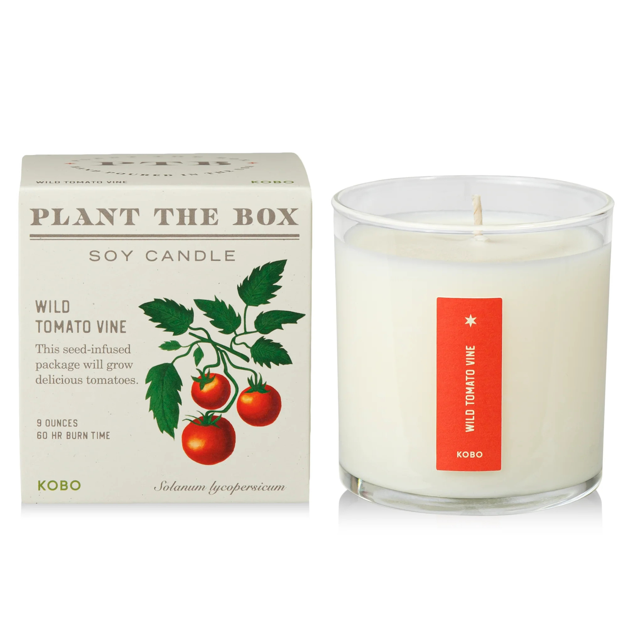 KOBO Wild Tomato Vine Plant the Box Candle 9oz | Smallflower | Smallflower