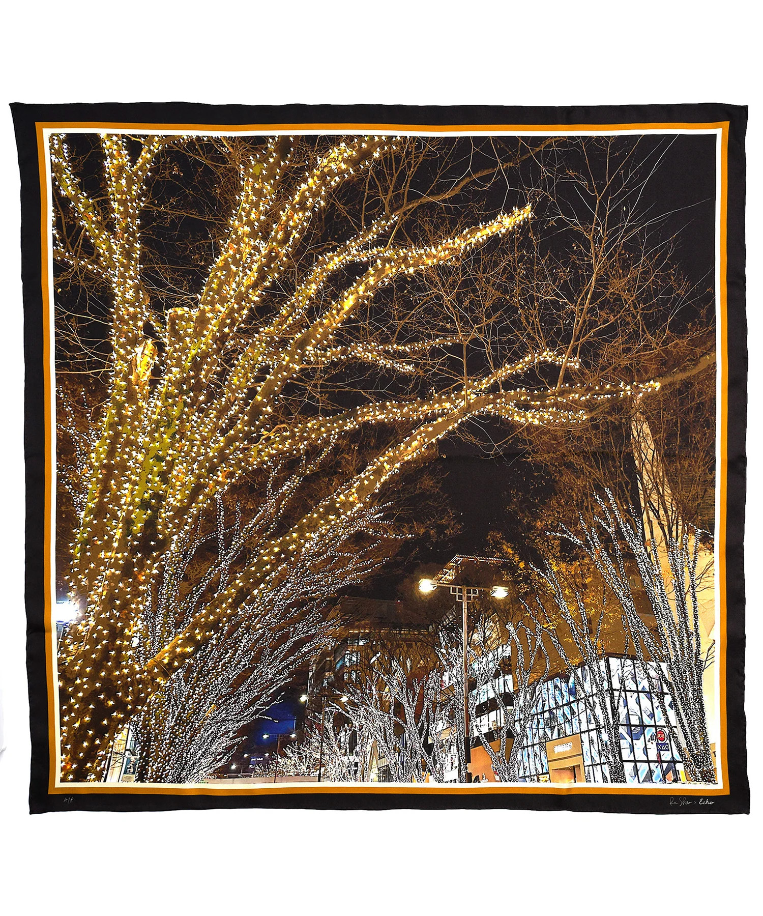 Scarves | Limited-Edition Silk Scarf by Rei Shito | Echo100 | Echo New York