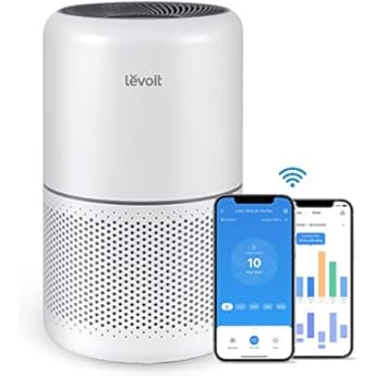 Amazon Prime Day | Amazon (US)