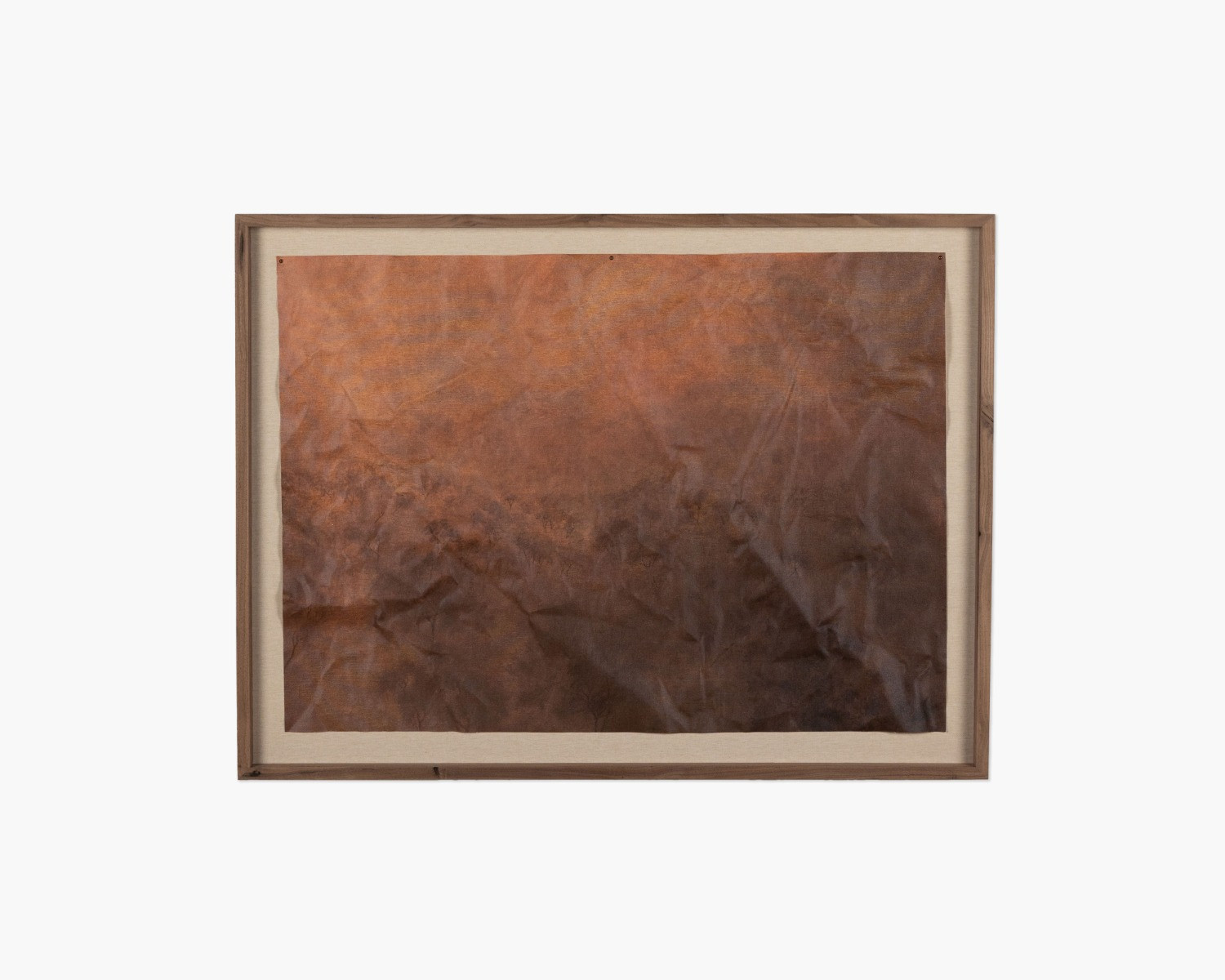 Flesh of the Earth by Aileen Fitzgerald Wall Art | Interior Define