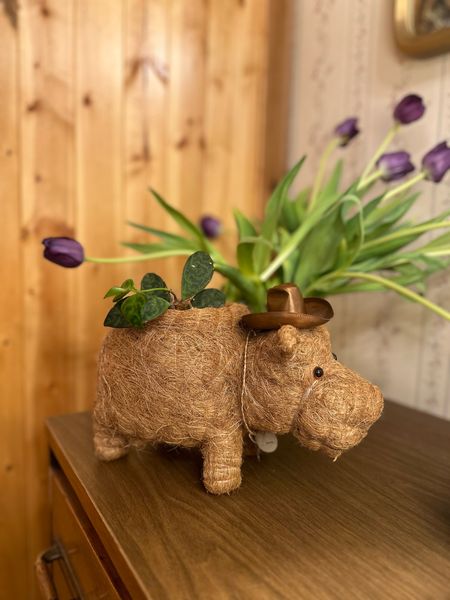 Got this a few months ago, and of course it is still my favorite little planter because of my pup, Hippo! 🌱🦛  If you're into shopping eco-conscious, sustainable, or.. just a hippo fan, grab yours via the link! This planter is made from eco-friendly materials, it's a conscious buy that adds charm to your space while caring for the planet.  #SustainableLiving #EcoFriendlyDecor #ConsciousChoice

#LTKSeasonal #LTKSpringSale