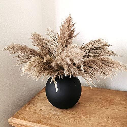 Dried-Pompas-Floral Decor Fluffy-Pampas-Grass-30-Stems Small-Pompous-Bulk Natural-Pompus-Grasses-... | Amazon (US)