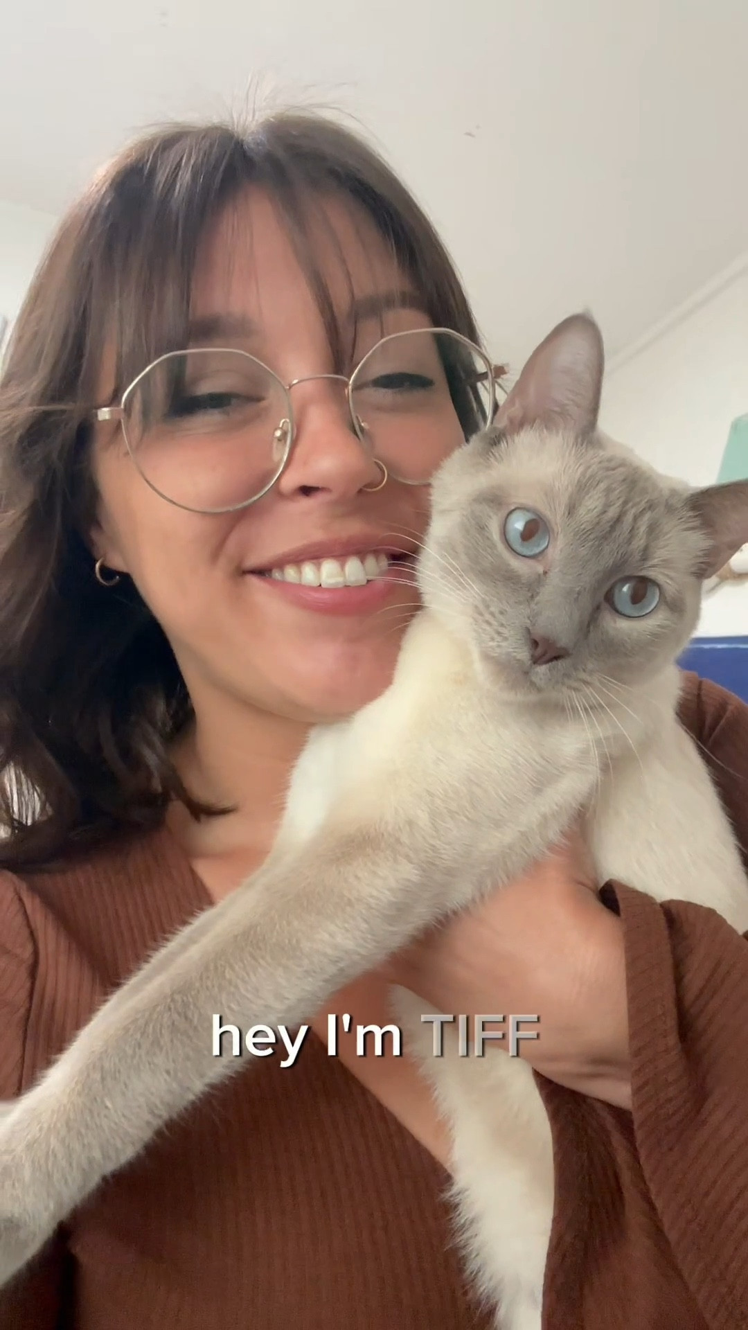 Allow me to introduce myself! I am HOUSEOFTIFFS and this my Siamese cat, Ghost. Follow and subscribe to my eclectic portfolio! I post all things pets, travel, gluten free snack hacks, home decor, seasonal holiday decorations, gardening, fitness, lifestyle, health, and wellness! Let’s connect!! I would love to work with you🥰

#LTKHome #LTKPets #LTKTravel