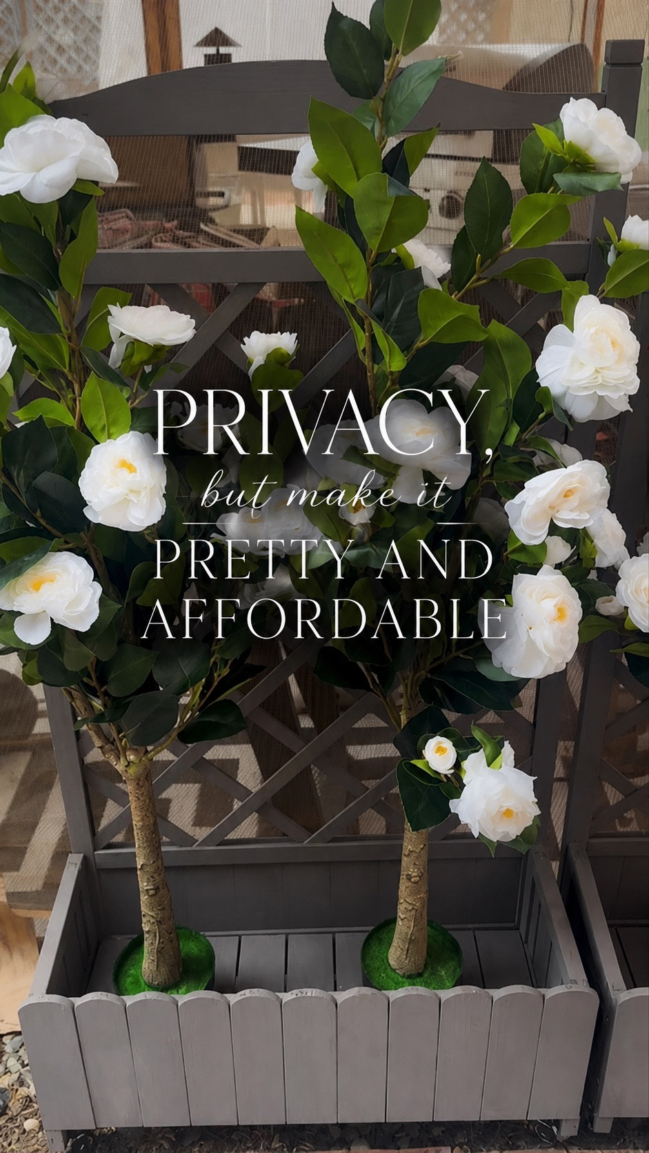 POV: you’re trying to make your backyard feel a little more private… without spending thousands on a remodel 🌿✨

These rolling planter privacy screens completely changed the vibe of my patio and helped hide all the “real life” backyard chaos 😂 Added faux camellia rose trees for a soft coastal garden look and now it feels so much more cozy and finished. Everything is linked in my LTK/shop! 🤍

#backyardmakeover
#coastalgarden
#outdoorprivacy
#ltkhome
#patiodecorideas