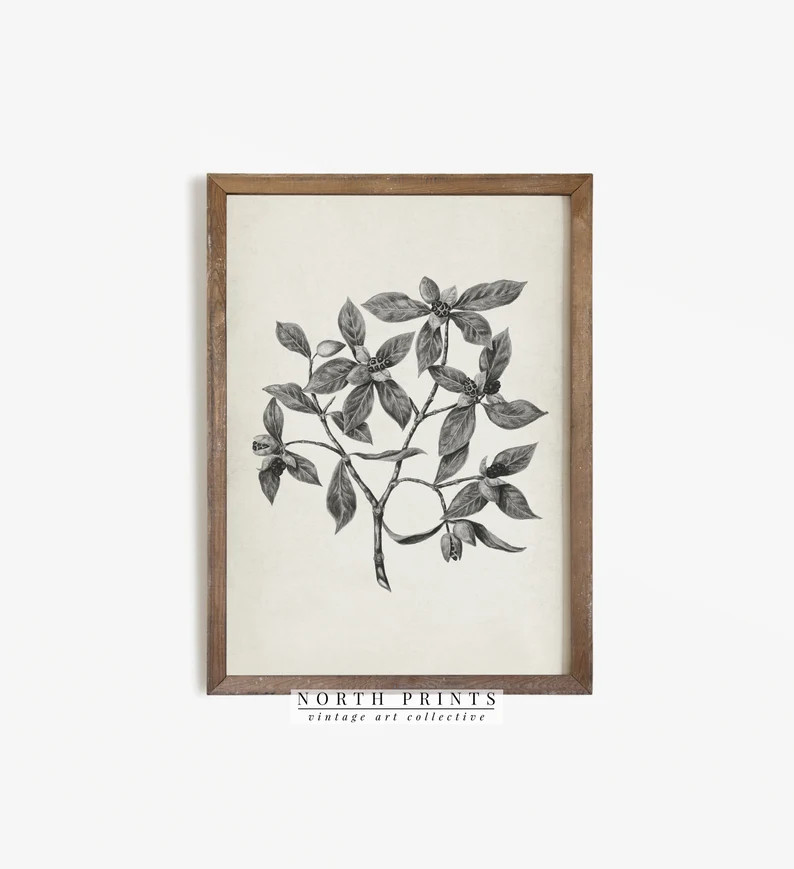 Neutral Botanical Art Print | Vintage Farmhouse Wall Art |  Kitchen Decor | PRINTABLE | 827 | Etsy (US)