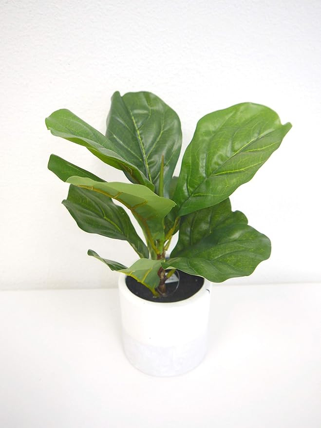 Naturally Home Real Touch Fiddle Leaf w/ Ceramic Pot APX 12" Tall | Amazon (US)