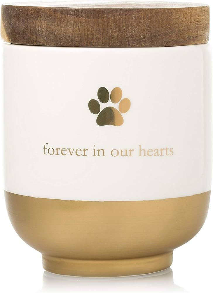 Pearhead Pet Ceramic Forever in Our Hearts Urn, Pet Memorial, Dog Or Cat Keepsake Urn, Rainbow Bridge, Gold | Amazon (US)