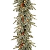 National Tree Company Pre-Lit 'Feel Real' Artificial Christmas Garland, Green, Arctic Spruce, Whi... | Amazon (US)