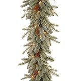 National Tree Company Pre-Lit 'Feel Real' Artificial Christmas Garland, Green, Arctic Spruce, Whi... | Amazon (US)