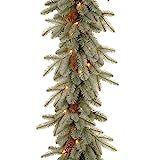 National Tree Company Pre-Lit 'Feel Real' Artificial Christmas Garland, Green, Arctic Spruce, Whi... | Amazon (US)