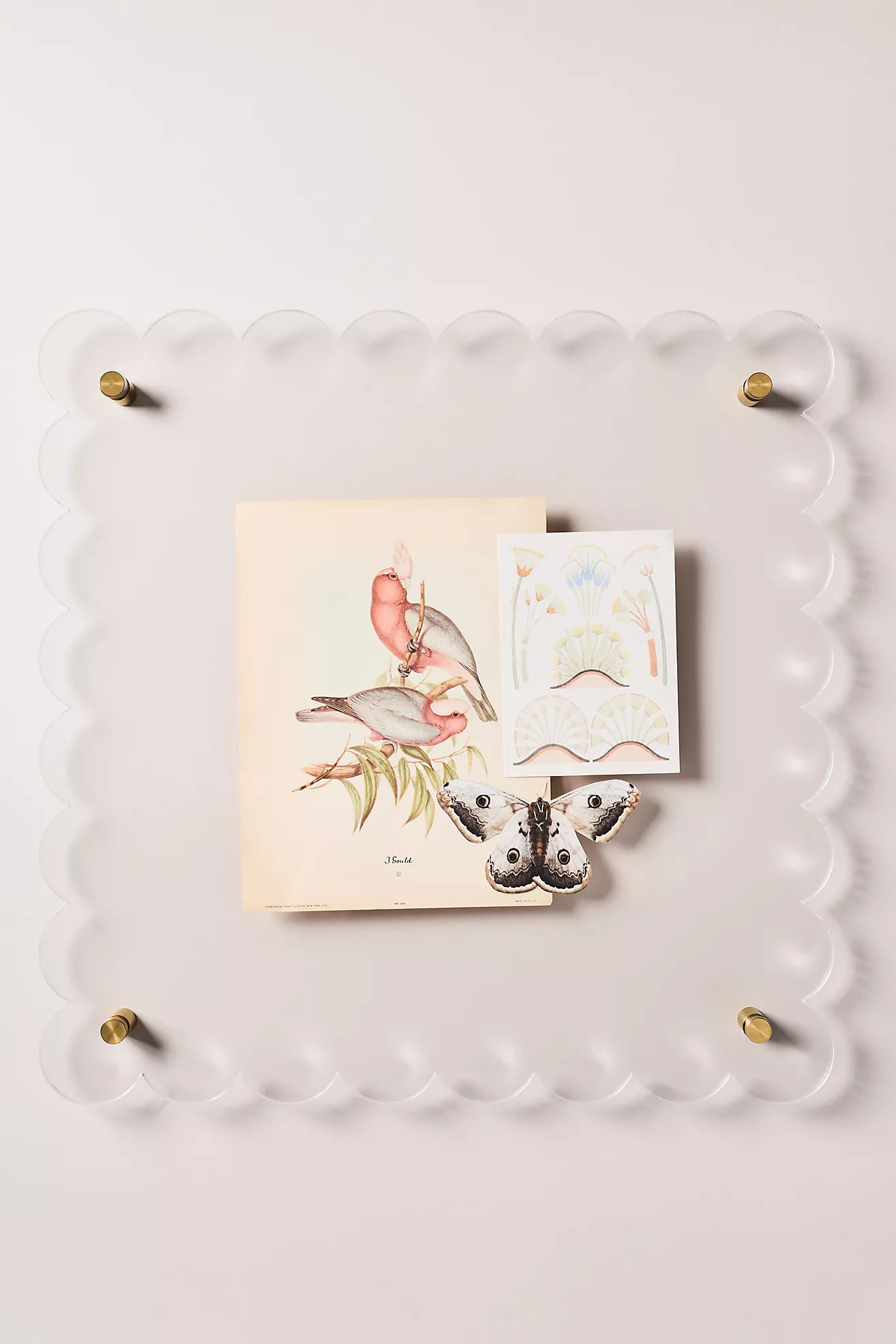 Tart by Taylor Scallop Acrylic Gallery Frame | Anthropologie (US)