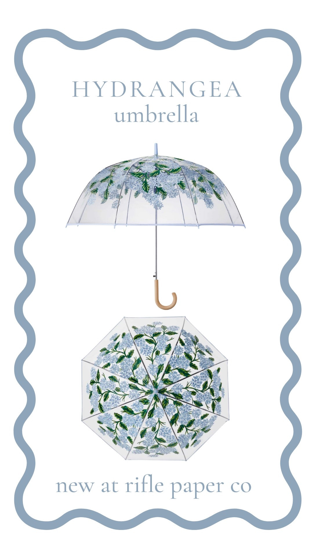 April showers never looked so pretty! This hydrangea clear umbrella from Rifle Paper Co. adds a little charm to even the gloomiest days. It’s the perfect blend of function and floral—and you know I can’t resist a classic bloom. Tap to shop and make rainy days a little brighter! 🌸☔

#LTKStyleTip #LTKSeasonal #LTKGiftGuide