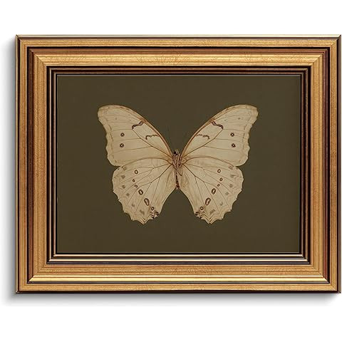 InSimSea Gold Framed Canvas Prints Wall Art, Vintage Butterfly Bathroom Decor, Classical Moody Pa... | Amazon (US)
