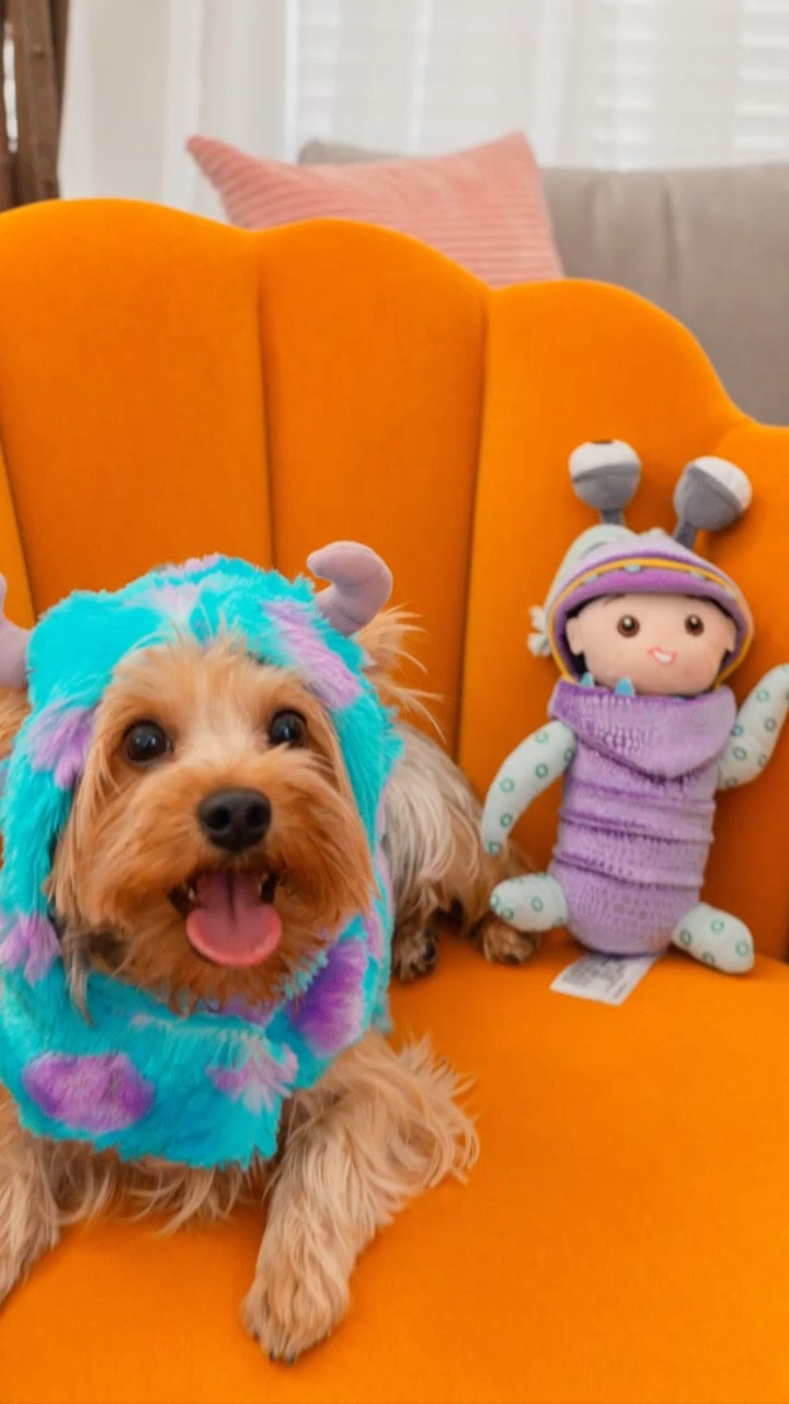 Costume ideas for fur babies and kids Disney Pixar Monsters Inc. Family Halloween costume Ideas

#LTKfamily #LTKkids #LTKHalloween