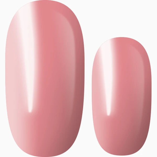 Dusted Pink Petals | Lily & Fox