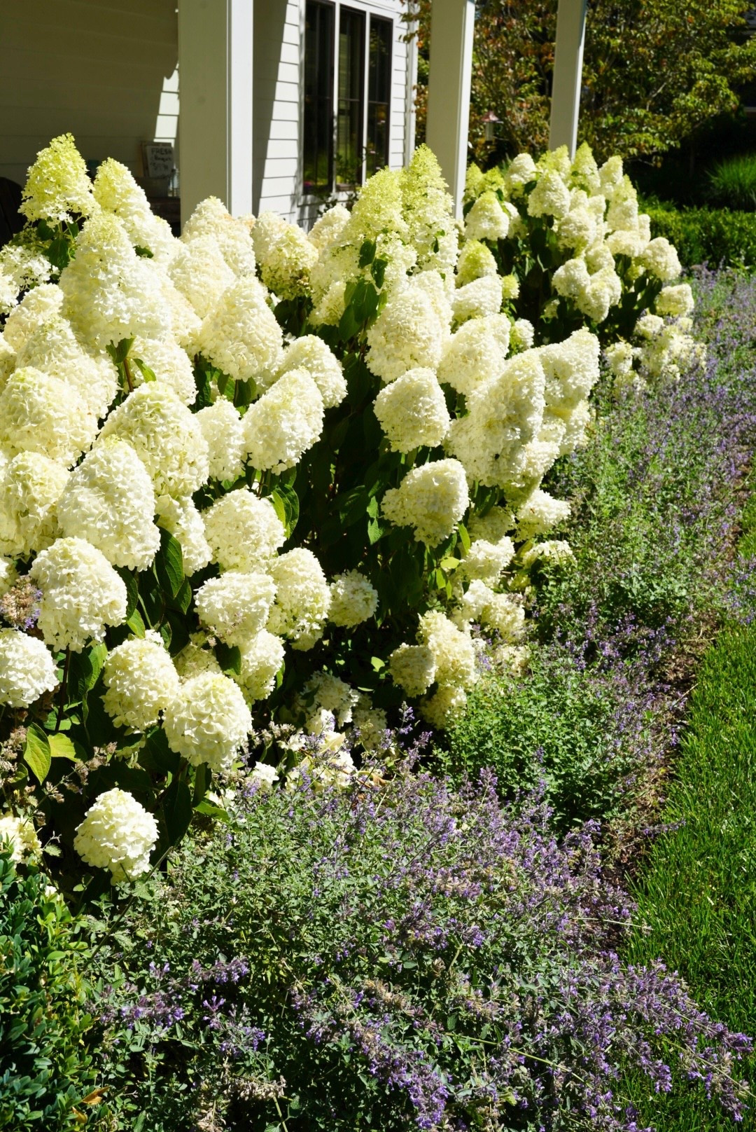 Spring landscape prep 