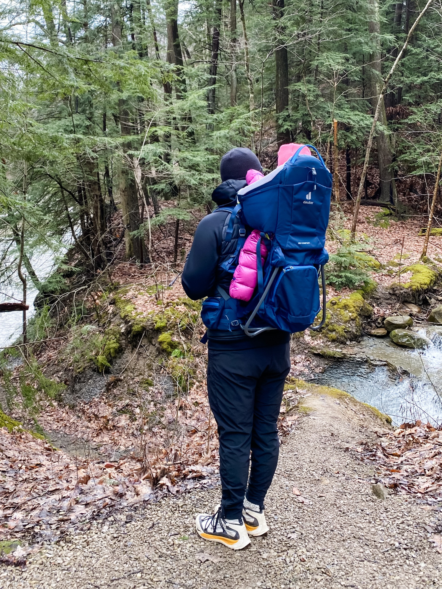 The BEST hiking backpack carrier for kids!

#LTKfit #LTKbaby #LTKkids