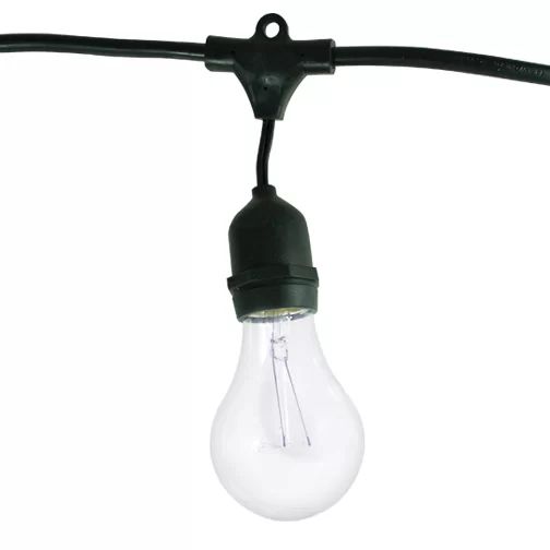 48' Outdoor 15 - Bulb Standard String Light | Wayfair North America