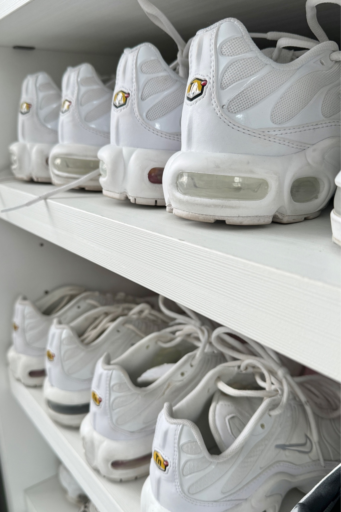 Sneakers I use on 90% of my workouts 🫶🏼

#sneakers #trainingshoes

#LTKfitness #LTKstyletip #LTKshoecrush