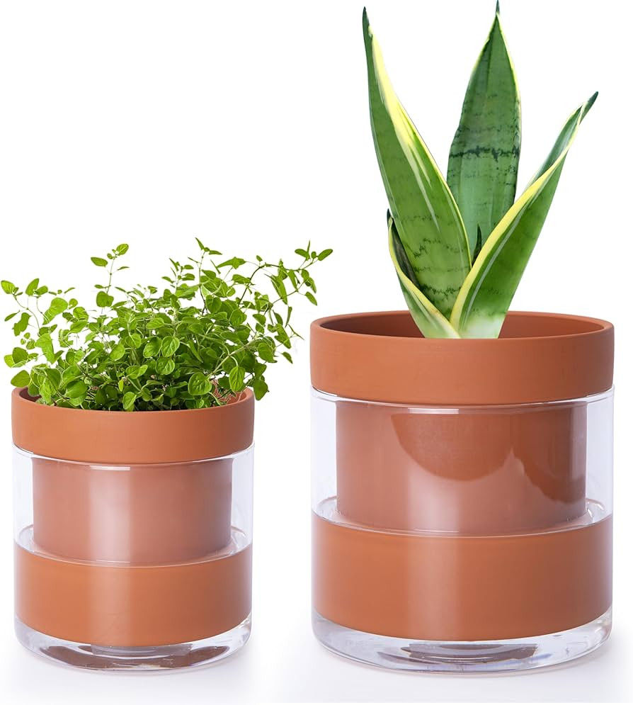 Phoenix Vine 4 Inch 6 Inch Self Watering Planter Pots, Terracotta Clay Pots with Glass Reservoir ... | Amazon (US)