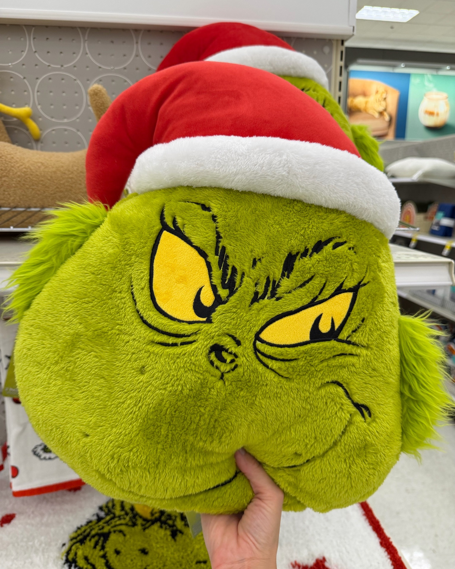 🎄💚 SO many cute Grinch bed + bath finds!! From Grinch + Max plushies to festive bedding, hand towels, rugs and more… there are way too many fun ways to add a little Whoville to your home this Christmas! ❤️✨

I rounded up all my favorites because these are SO good for bedrooms, bathrooms + holiday gifting! 🎁

#GrinchChristmas #ChristmasFinds #HolidayHome #ChristmasDecor #LTKHoliday

#LTKSeasonal #LTKHome #LTKmomlife