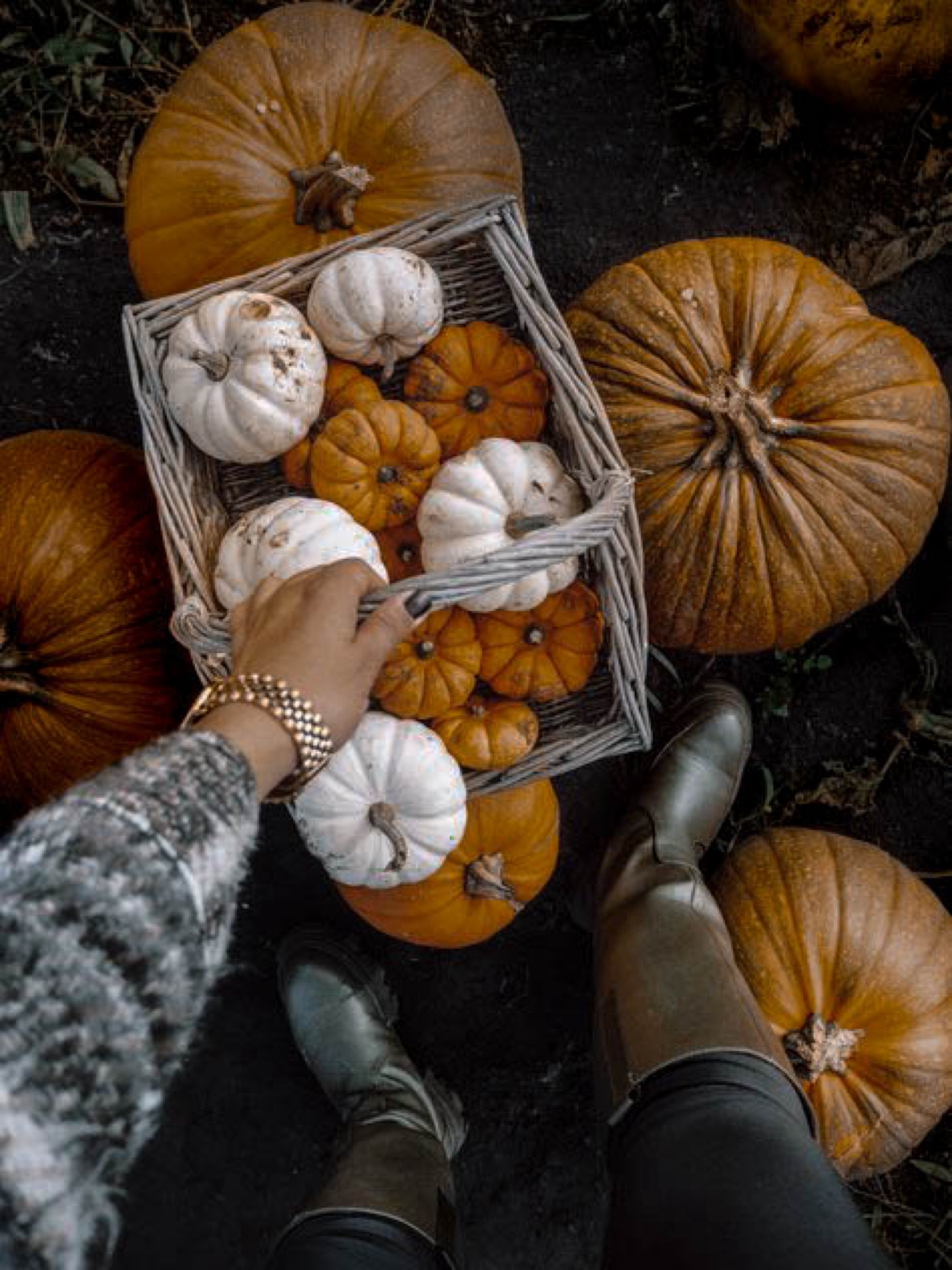 #LTKstyletip #LTKsalealert #LTKSeasonal