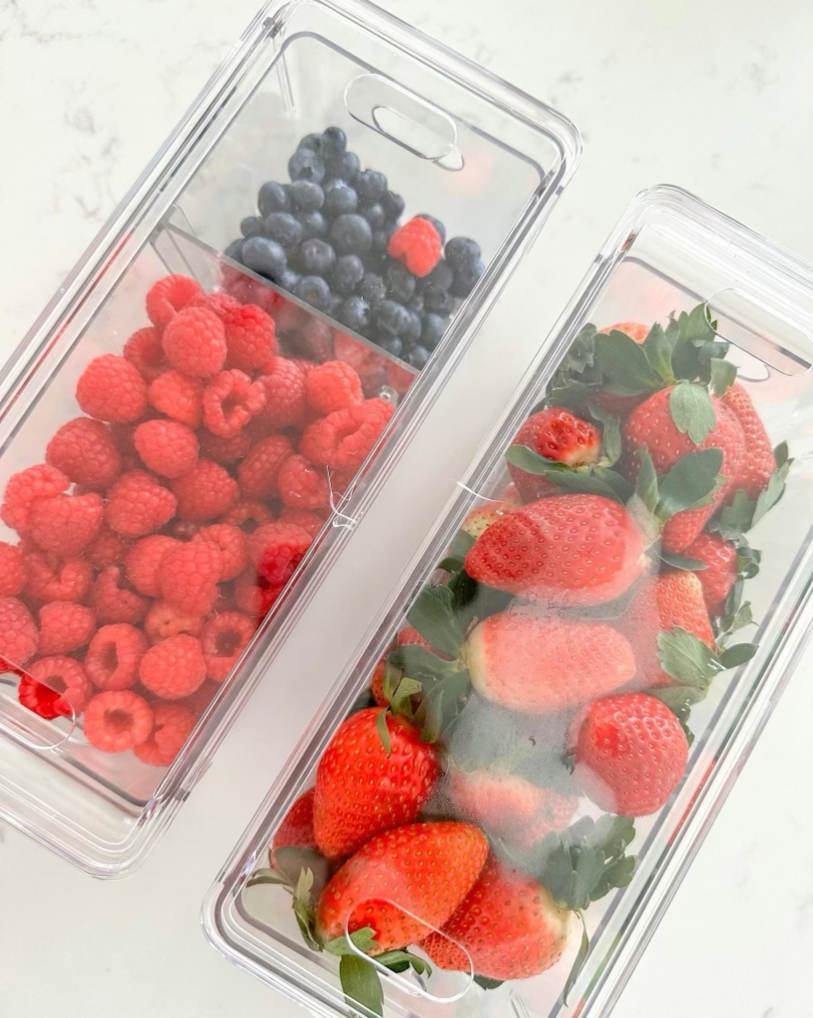 Divided Berry Bin with lid Clear - … curated on LTK