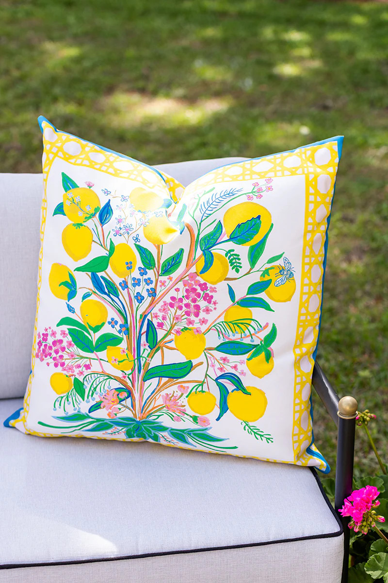 Citrus Toddy\u00a9 22 inch Square Outdoor Pillow | House Of MBR