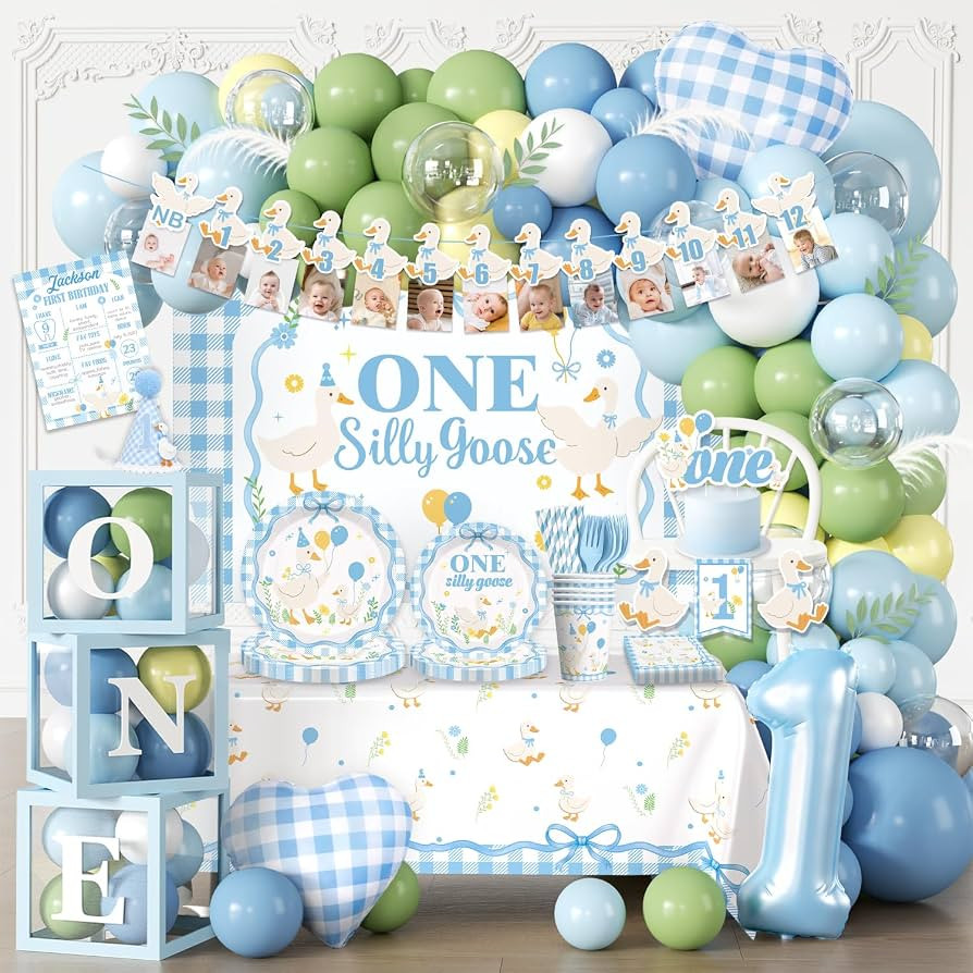 271 Pcs One Silly Goose Birthday Decor Boy, Blue Gingham Goose 1st Birthday Decorations Include B... | Amazon (US)