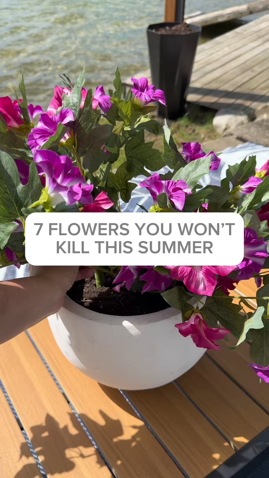 7 Florals You Can’t Kill This Summer 🌸
No more dead plants. No more watering. No more guilt.
Just realistic faux flowers that bring the beauty without the work.

I found SEVEN gorgeous styles that look totally real—perfect for your porch, patio, or anywhere you want a pop of summer without the upkeep!

#LTKSeasonal #LTKHome #LTKFindsUnder50
