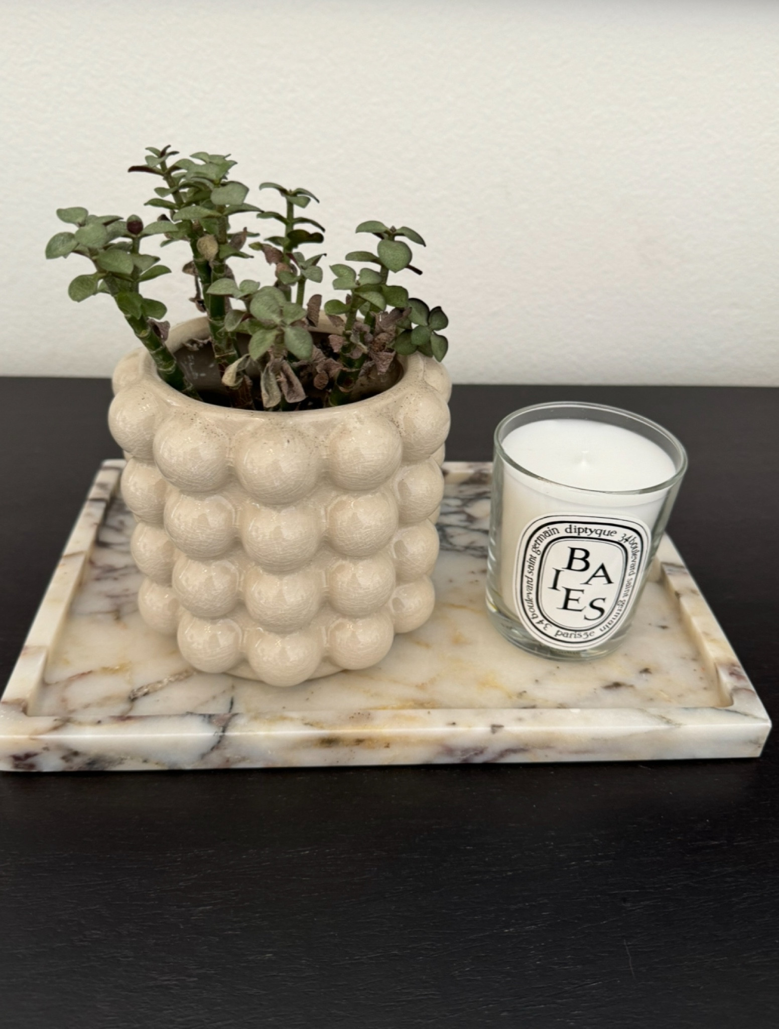 Hadn’t shared my new decorative tray yet! Linked a few similar too and the planter 🤍🖤

#LTKFindsUnder50 #LTKStyleTip #LTKHome