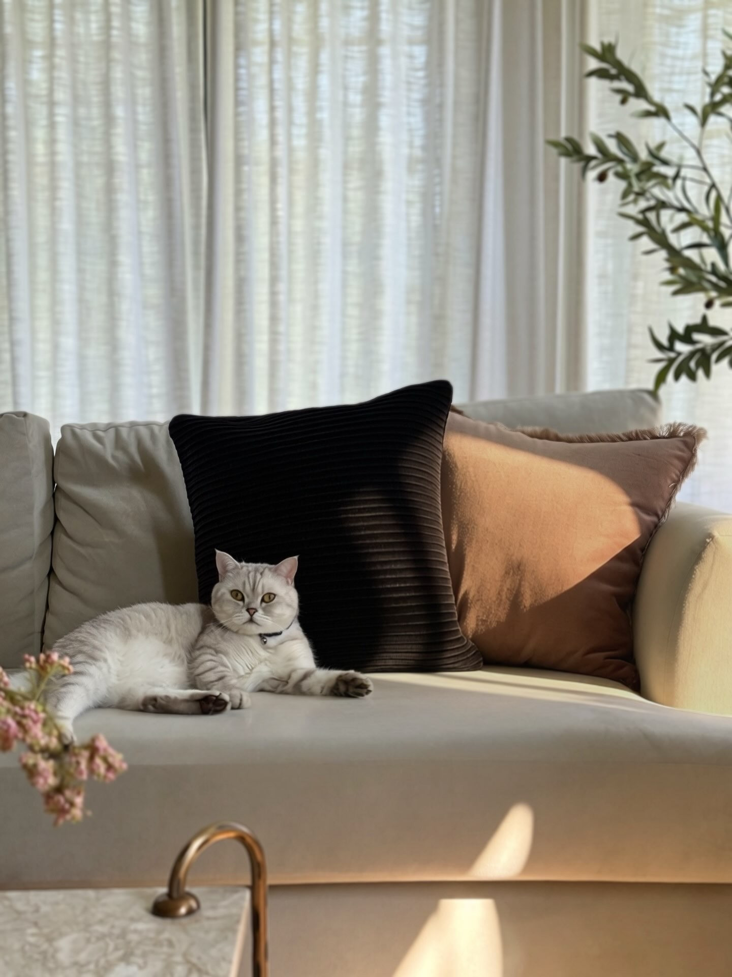 #LTKHome #LTKSaleAlert