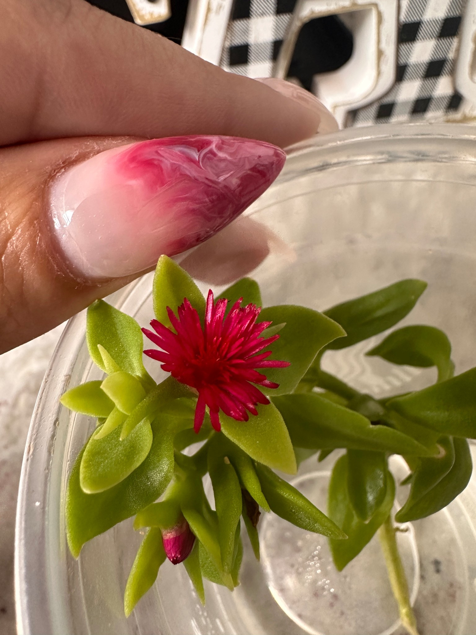 Nail game strong 💅✨ #LTKBeauty

#LTKWorkwear #LTKStyleTip #LTKSeasonal