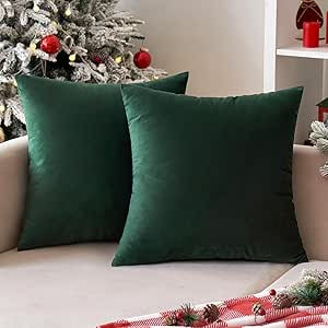 ANRODUO Pack of 2 Velvet Throw Pillow Covers Cushion Case Soft Decorative Solid Square Cozy Moder... | Amazon (US)