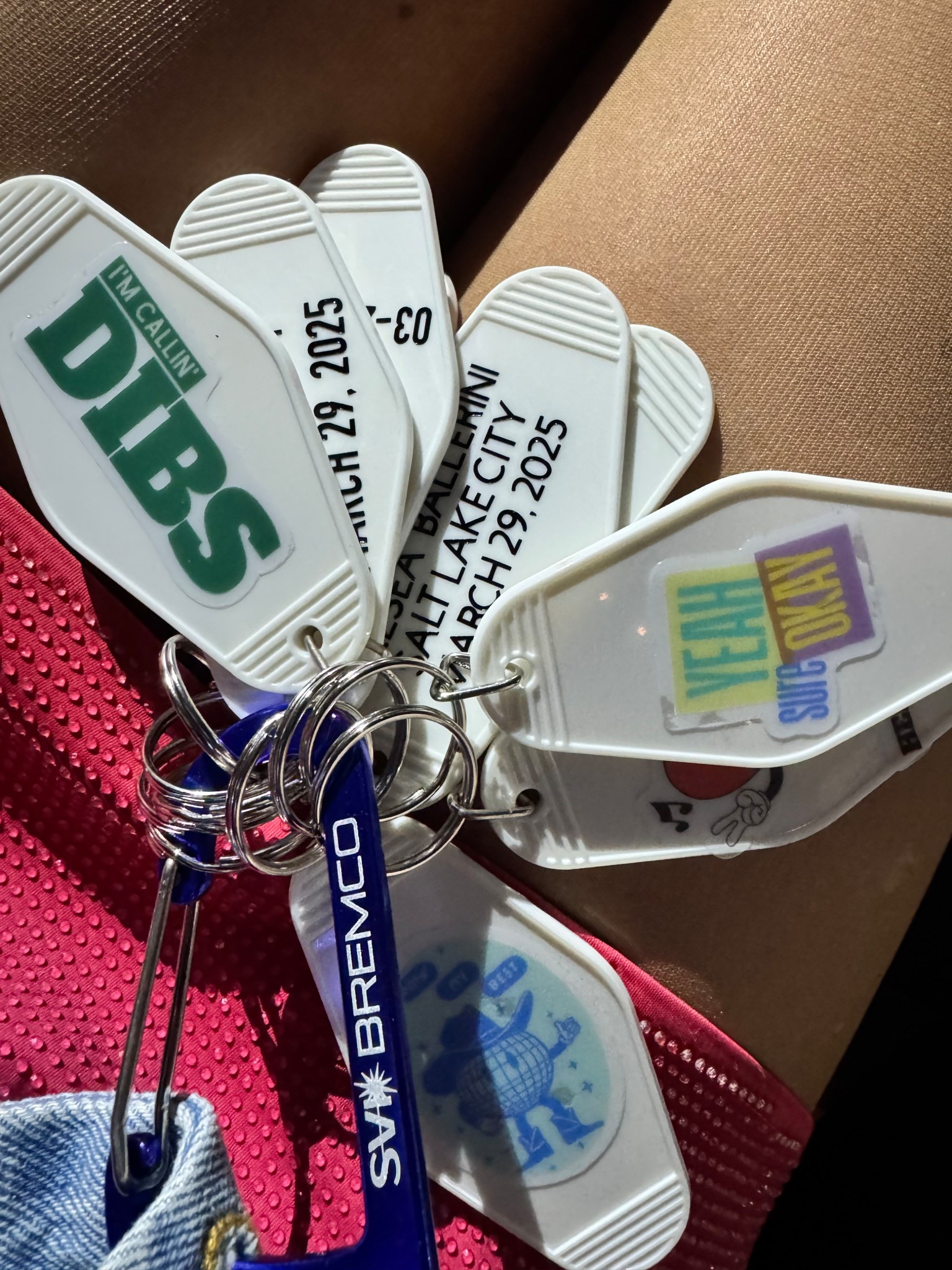 Kelsea Ballerini concert trading keychains ✨🪩

#LTKFestival #LTKParties #LTKFindsUnder50