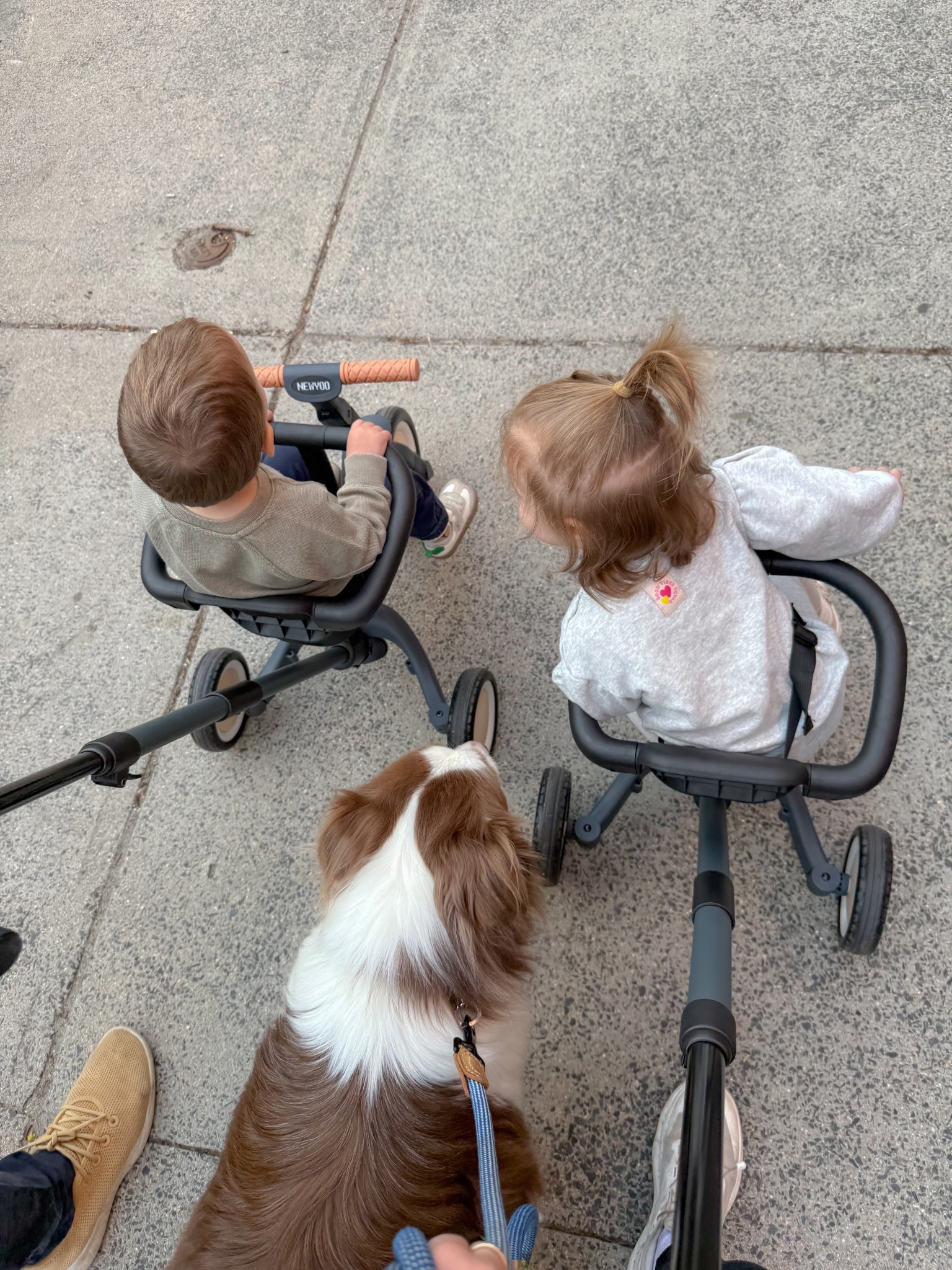 My twins are loving their new bikes! For the price, the quality is perfect. 5 different stages to this bike as they get older! 

*they started using at 18mo. We got the Newyoo bike with the bar which was definitely needed and the waist strap is adjustable 

#LTKKids #LTKFamily #LTKFindsUnder100