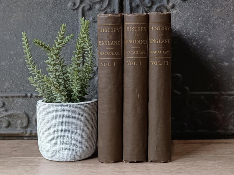 Vintage Brown Books, Set of 3 Old Brown Books, Staging Decor, Neutral Bookshelf Decor, Antique Br... | Etsy (US)