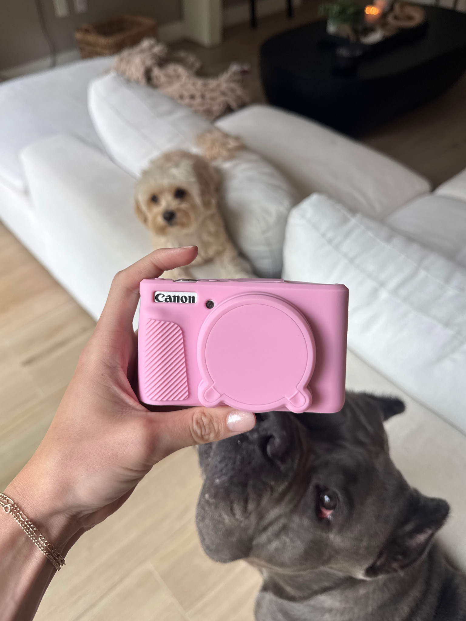 New point and shoot camera 📸 
#g7xdupe

#LTKTravel #LTKSummerEdit #LTKGiftGuide