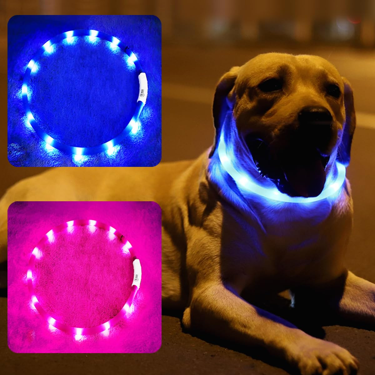 2 Pack Light Up Dog Collars with 1640 Feet of Visibility - Brightest Glow Dog Collar Light, Recha... | Amazon (US)