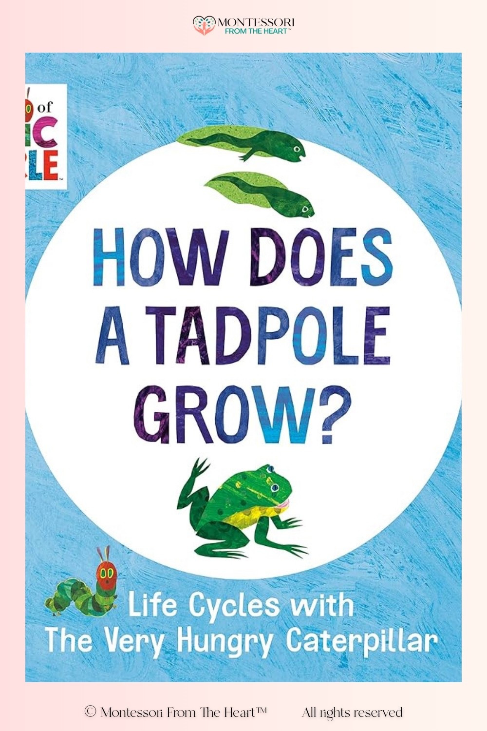 Book ~ How Does a Tadpole Grow? 

#LTKstorytime #LTKKids #LTKHome