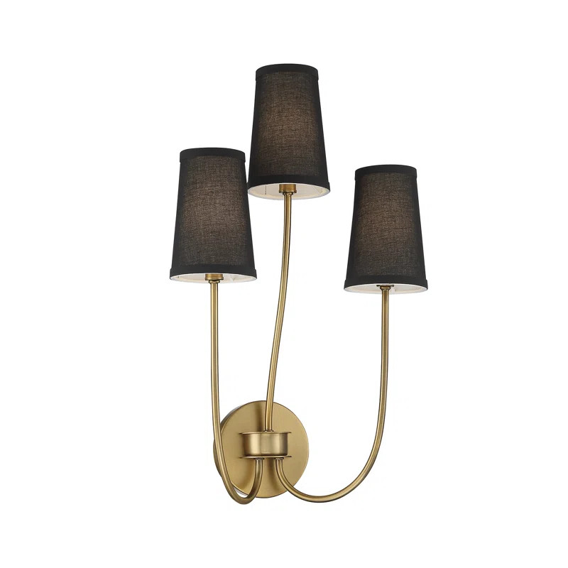 Endsley Steel Armed Sconce | Wayfair North America