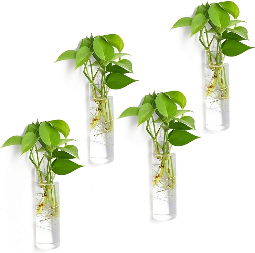 Vumdua Wall Hanging Planters, 4 PCS Glass Planters Hanging Glass Terrarium, Glass Plant Container... | Amazon (US)